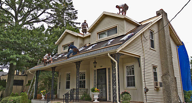 Roof Gutter Cleaning in Palmyra, PA